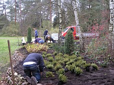 2010_11_13 friedhof_1